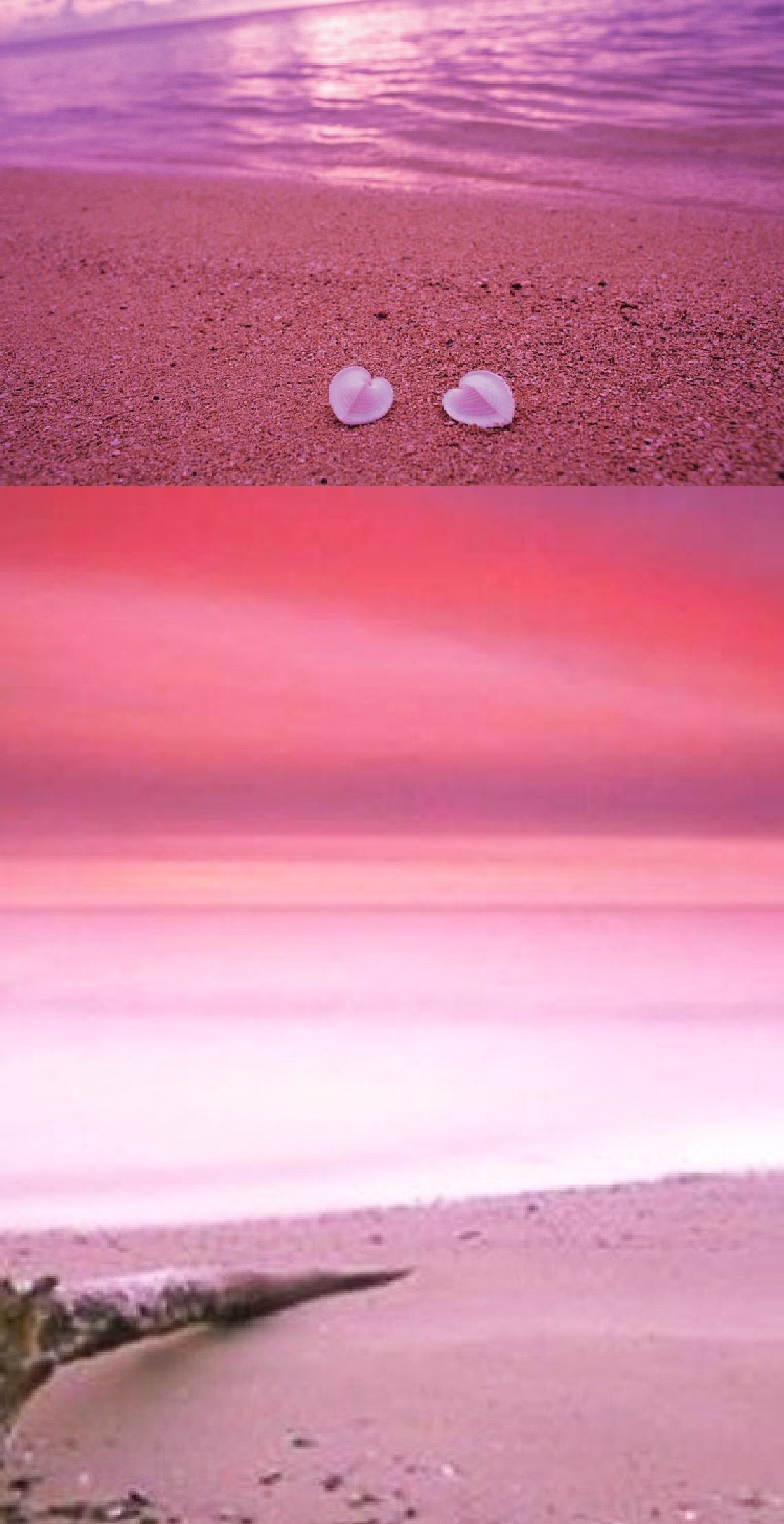 海のある絶景7