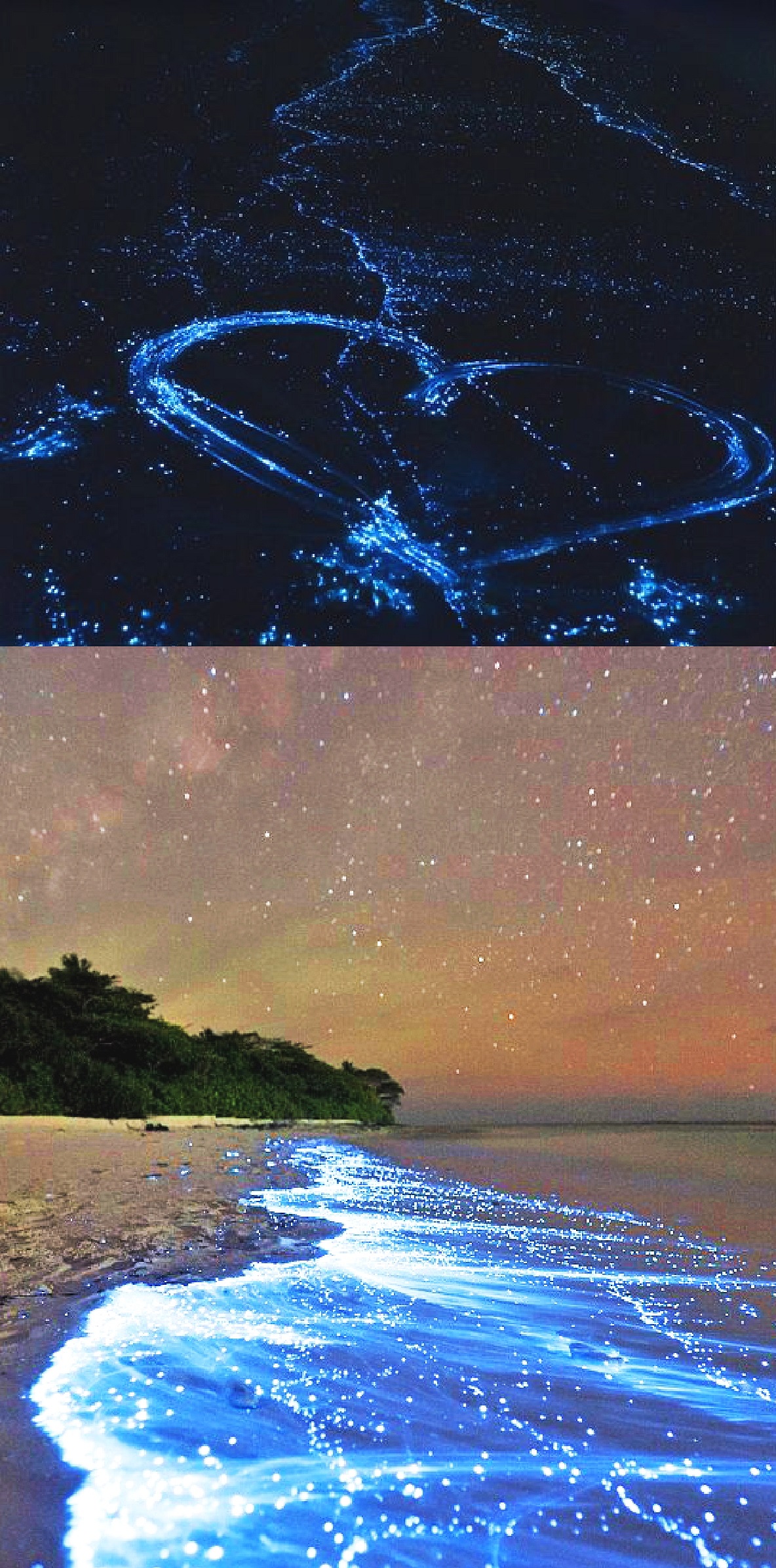 海のある絶景9