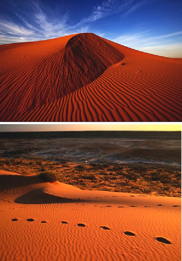 砂漠8